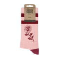 American Socks - Rose